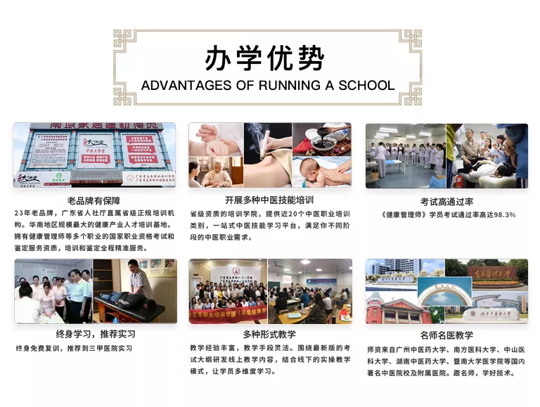 了解杏林 中医培训